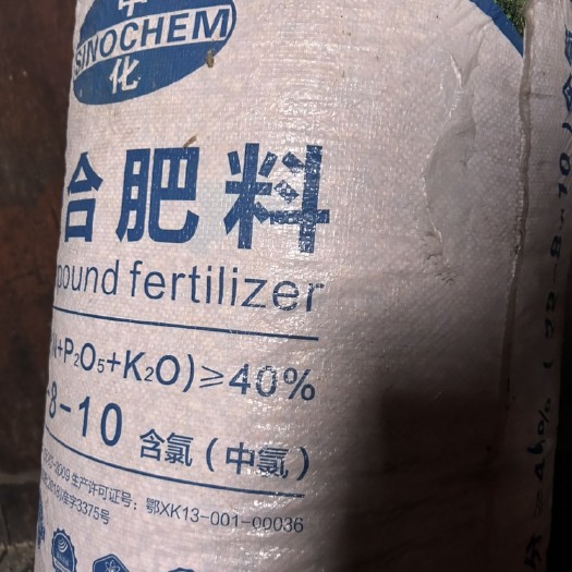 永顺县玉米