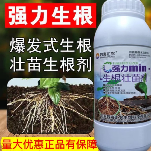 生根壮苗剂生根液果树蔬菜花卉移栽育苗强力发根壮根提苗剂叶面肥