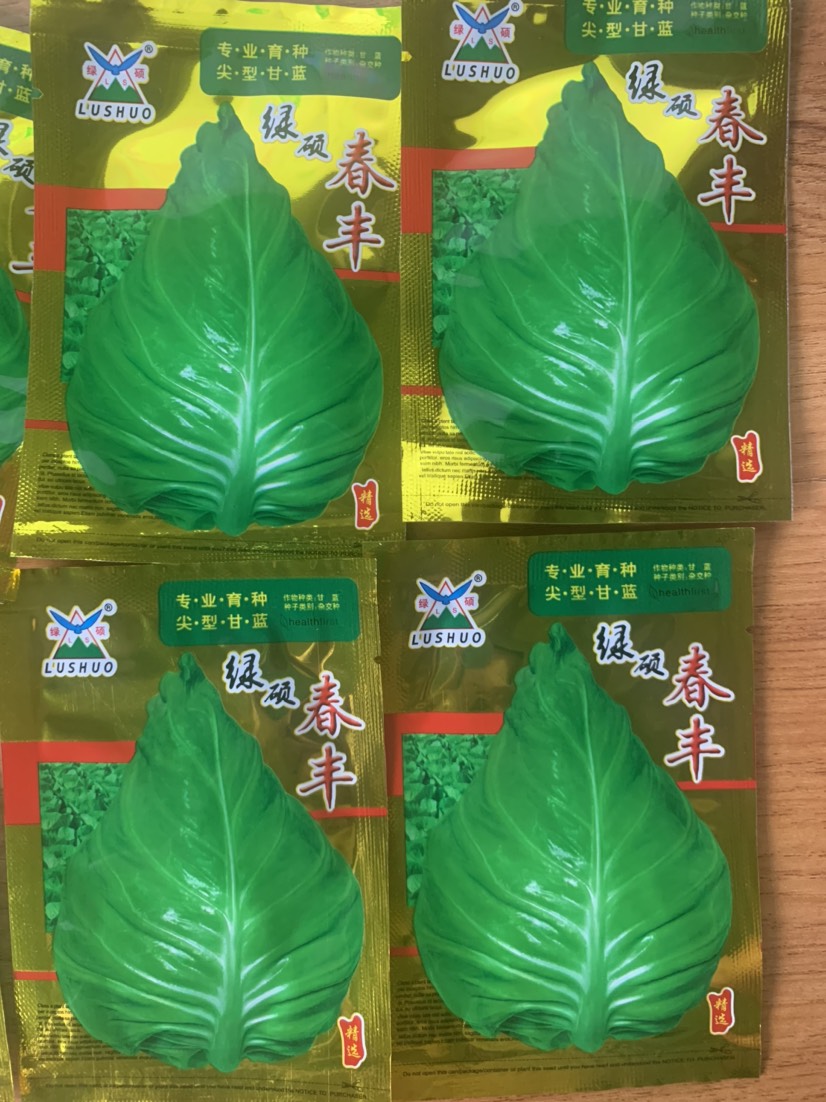 牛心甘藍(lán)種子春豐尖型甘藍(lán)種子籽甘藍(lán)包菜種子蔬菜種子籽