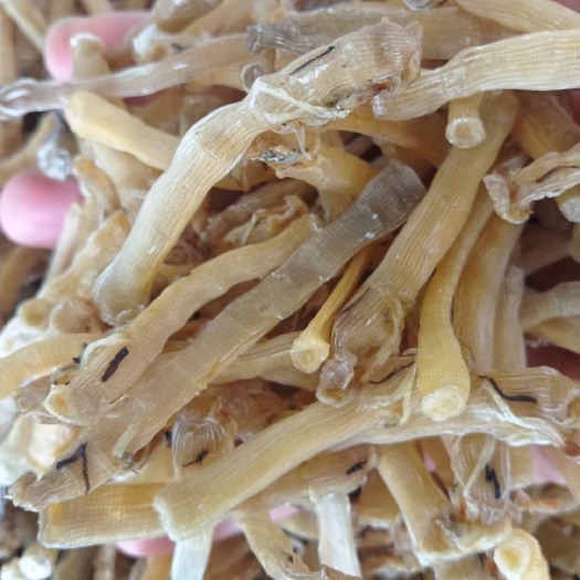 北海新鲜沙虫干小号沙虫4-5厘米可批发零售无沙沙虫