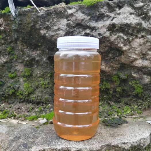梅州百花蜜原产地批发
