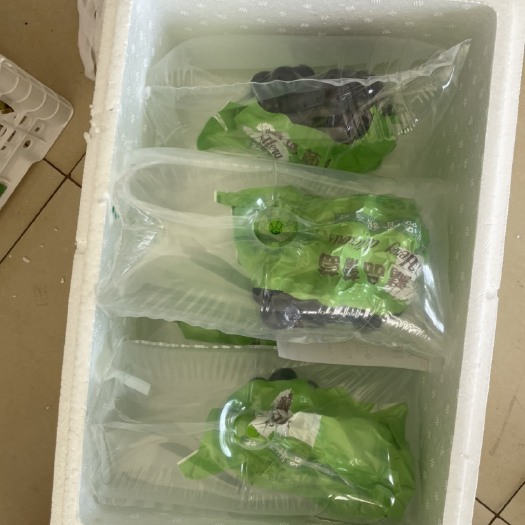 昆明各种葡萄水果批发 量大从优 可做一件代发 电商线下