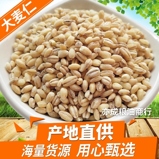 临沂大麦仁批发 脱皮麦仁米五谷杂粮大麦米19kg