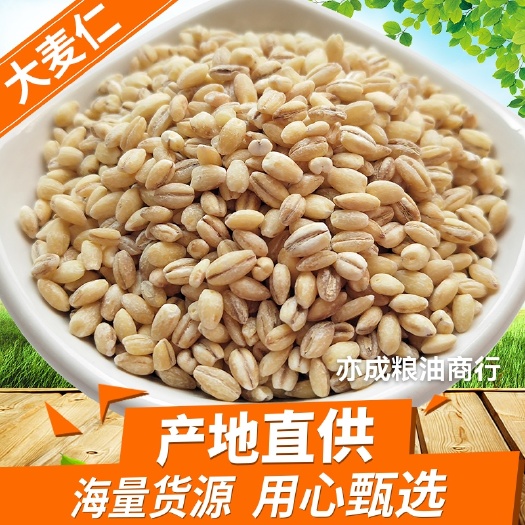 大麦仁批发 脱皮麦仁米五谷杂粮大麦米19kg