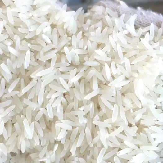 阳山县籼米，丝苗米，香米