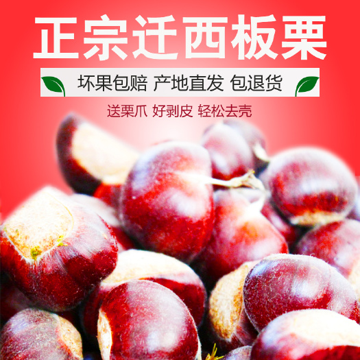 迁西县迁西板栗产地发货新鲜迁西板栗各种规格