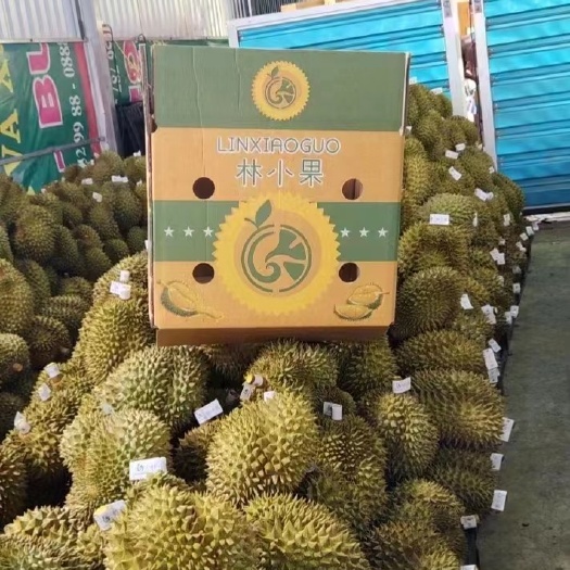沈阳榴莲
