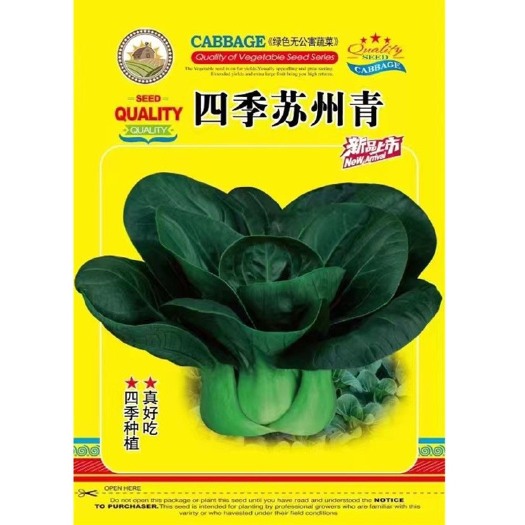 祁东县苏州青种子四季苏州青种子籽矮脚小青菜蔬菜种子种籽