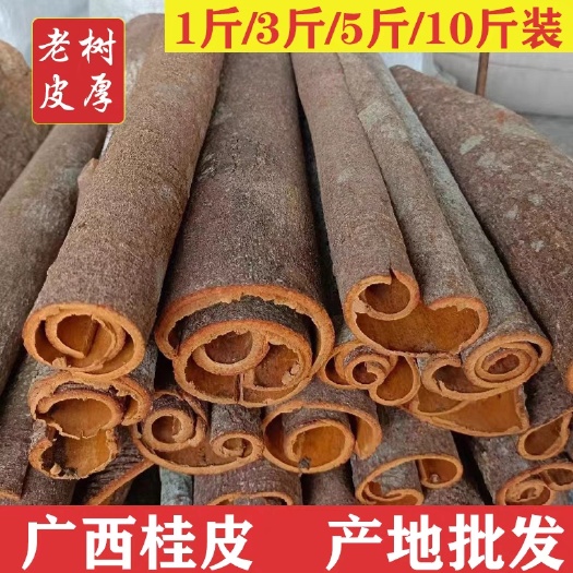 玉林广西肉桂桂皮板桂香料去皮肉桂心卤料炖肉火锅调味料