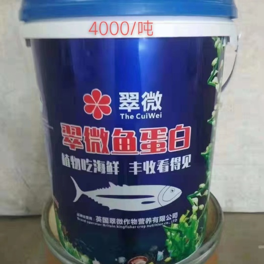 青州市高端鱼蛋白