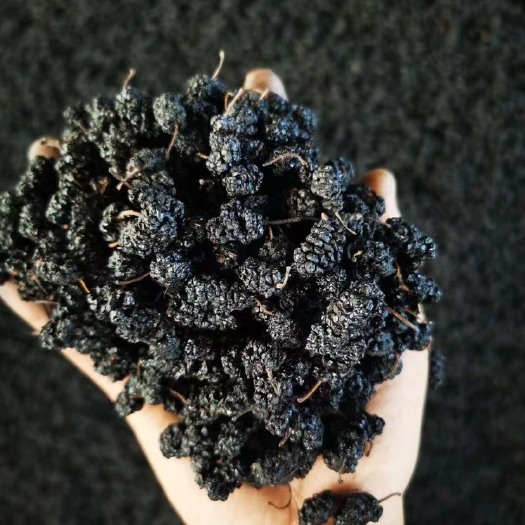 泊头市河北桑葚干精品好货
