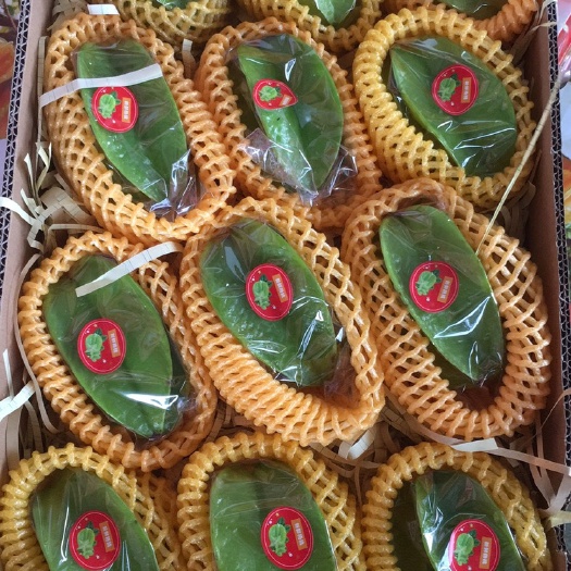 香蜜杨桃一件代发