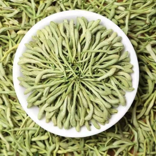 通渭县金银花  产地批发 第一名 一手货源金银花 甘肃定西通渭