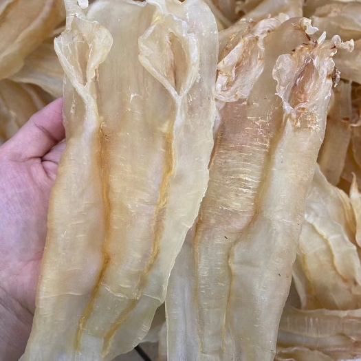 广州11头苏里南北海公鱼胶，老胶