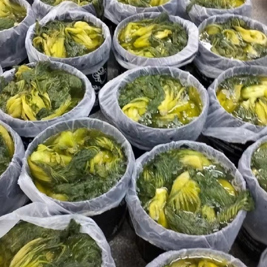 横州市横县包心芥菜总代理