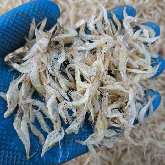 益阳河虾