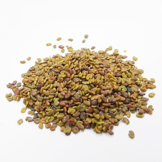 光山县精品茺蔚子