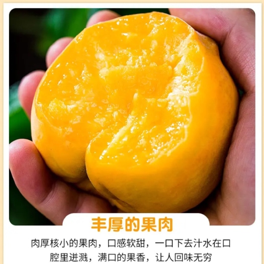 鲁山县黄桃，肉多汁甜，口感脆甜，果肉细腻