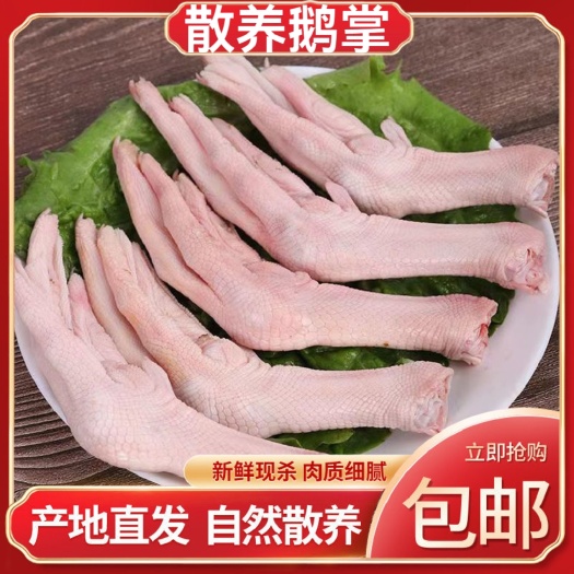 【顺丰包邮】新鲜大鹅掌鹅爪农家散养大白鹅鹅爪鹅掌生鹅脚送香料