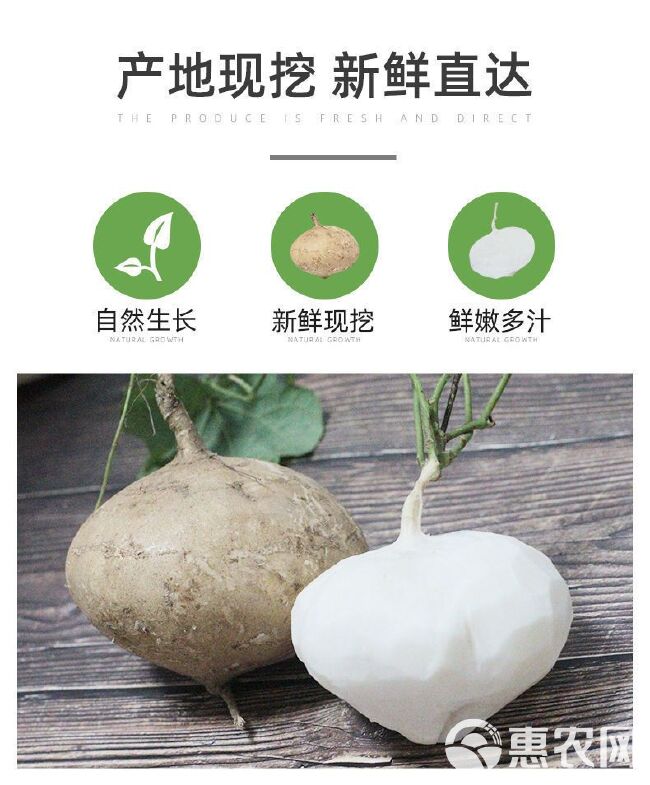 凉薯现挖新鲜蔬菜水果农家自种白地瓜豆薯番薯5/9斤