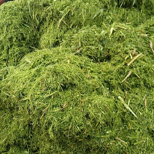 芜湖牛羊饲料