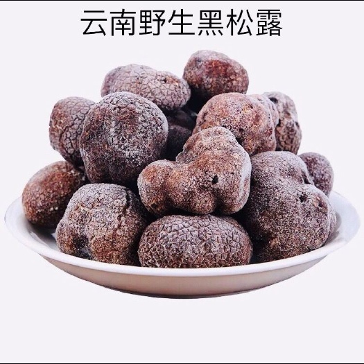 广东广州新鲜松露冻货批发源头供应
