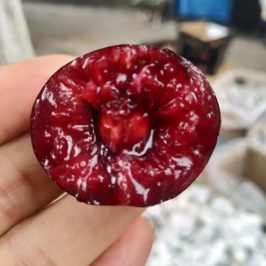 天水大樱桃大美早（樱桃中强着）支持一件代发，