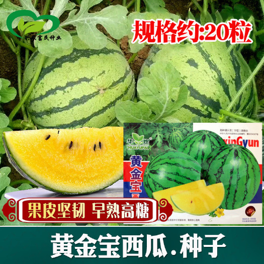 河间市黄瓤西瓜种子农田早熟圆形皮薄坚韧黄瓤西瓜种子