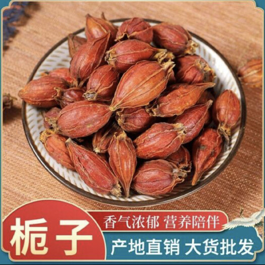陆川县大红水栀子黄栀子天然上色香料调味料佐料食用批发量大优惠