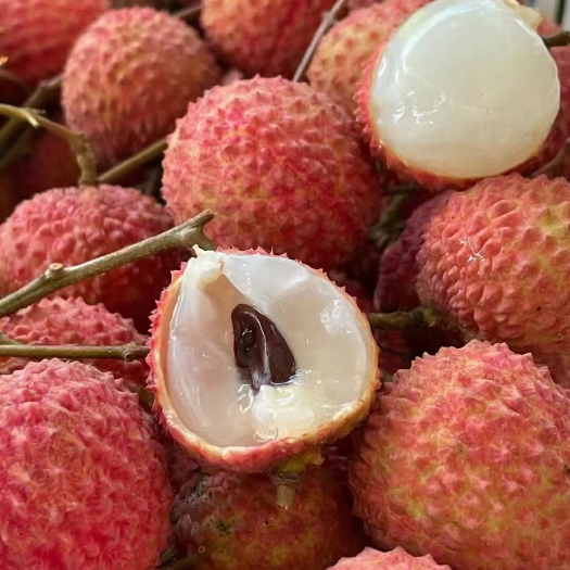 深圳有机级品桂味