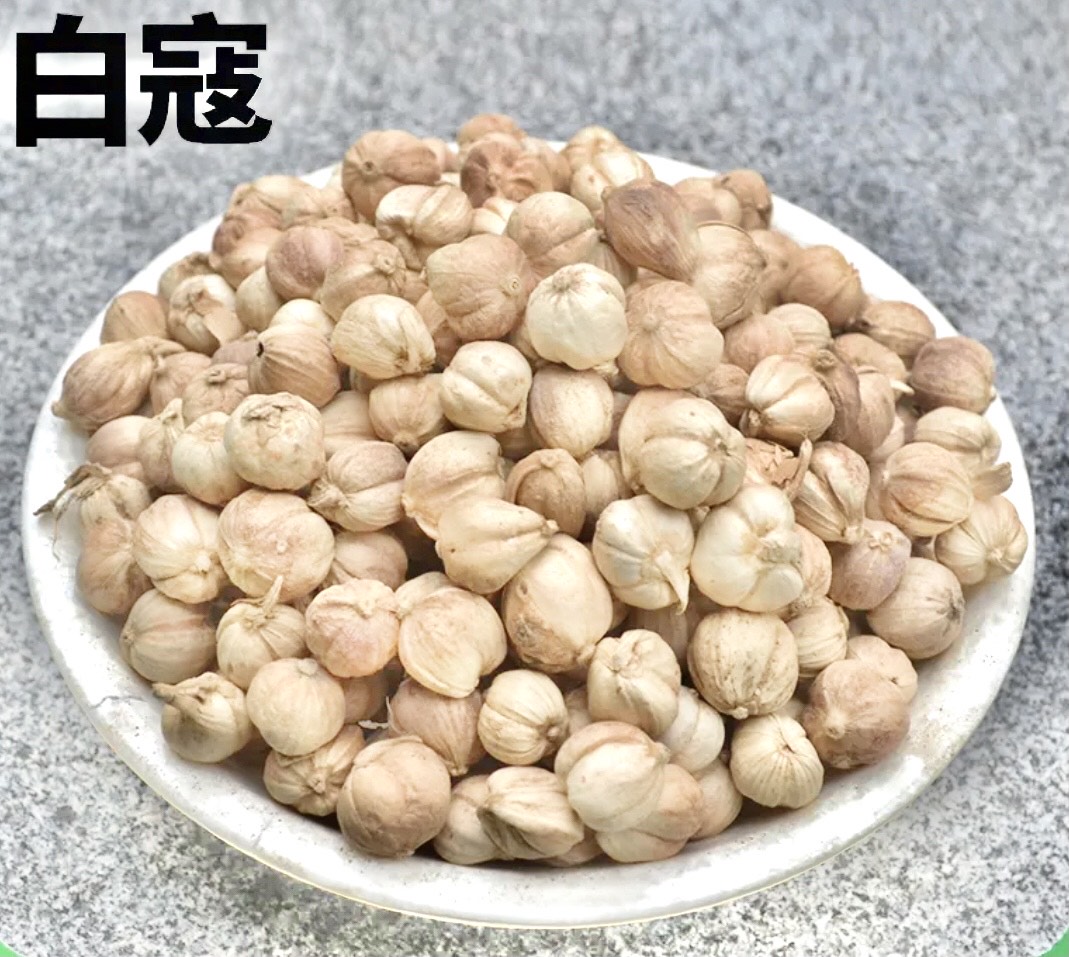 大货供应天然晾晒水洗白豆蔻白蔻白扣足干过风白寇香辛料调料批发