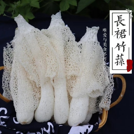 云南新鮮采摘紅托竹蓀 鮮竹自白云區(qū)速發(fā)2斤一盒蔬菜食用菌