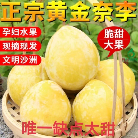 汝城县中国黄金奈李之乡文明沙洲黄金奈李脆骨李