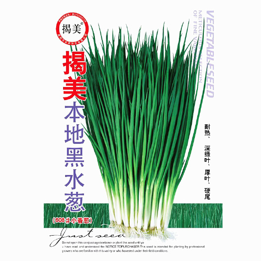 南靖县耐热型小香葱黑水葱具有黑叶厚叶硬尾耐热分根多香味浓，逆抗性强