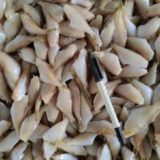 上海新鲜冷冻马面鱼剥皮鱼水产直发火锅烧烤食材爆款热销食用鱼类发货