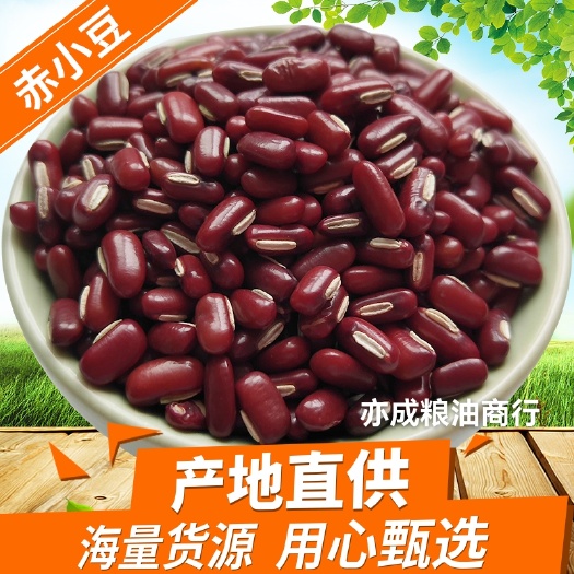 临沂赤小豆批发 非红豆豆类杂粮 24.75kg赤豆
