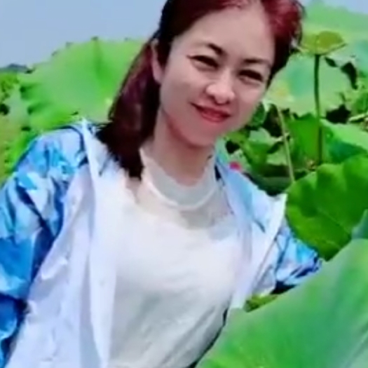 醴陵市醴陵均楚生态白莲