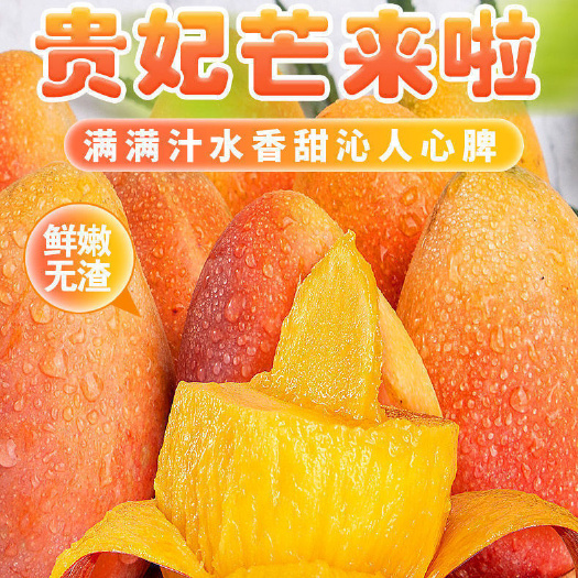 昆明贵妃芒果基地直供整箱应当季热带树上熟红金龙批发代发现货秒发