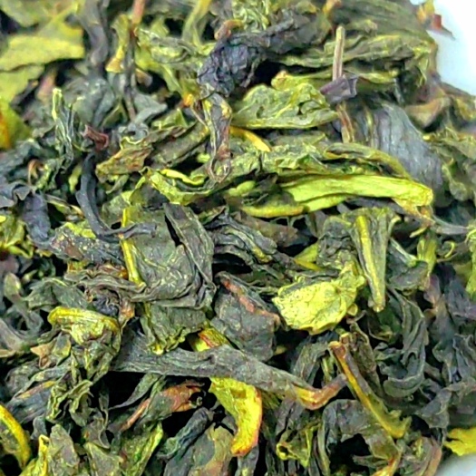 惠来县高山茶潮汕惠来土山茶熟香茶散装茶叶炭焙土山茶浓香型福建乌龙茶