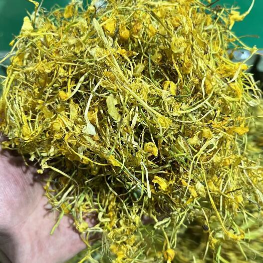 尤溪县金银花