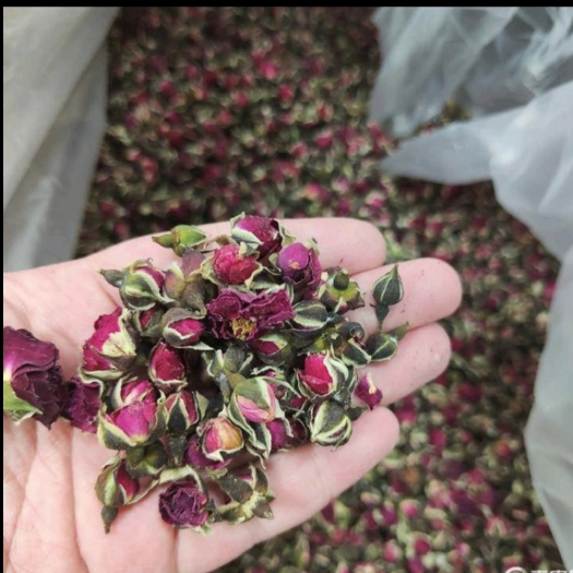 金边玫瑰 玫瑰干
