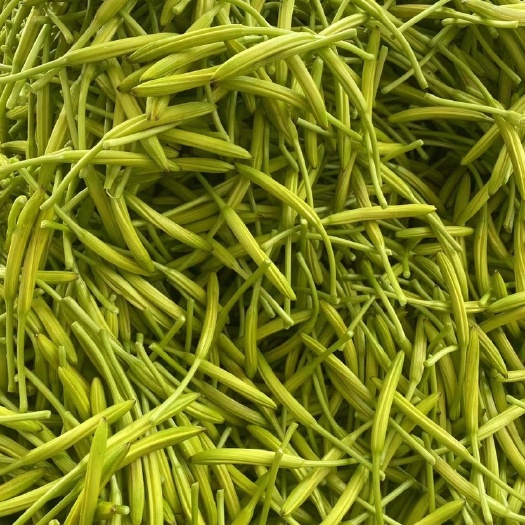 祁东县新鲜黄花菜
