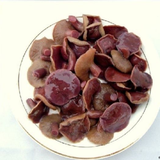广州冰冻红乳牛肝菌出口品质纯野生牛肝菌