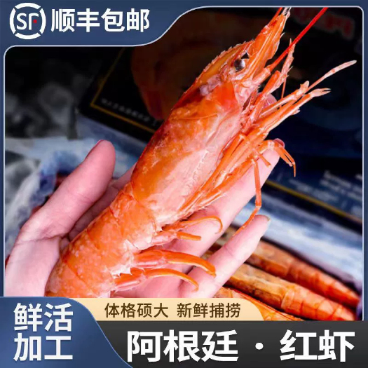 阿根廷红虾L1大红虾特大红虾新鲜超大虾鲜活海鲜海捕水产冷冻4