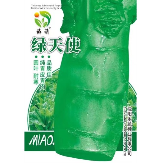 祁东县莴笋种子绿莴笋种子绿色天使莴笋蔬菜种子秋季春秋种植种子