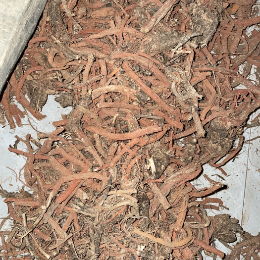 商洛丹参，段载货，无底膜，无杂质