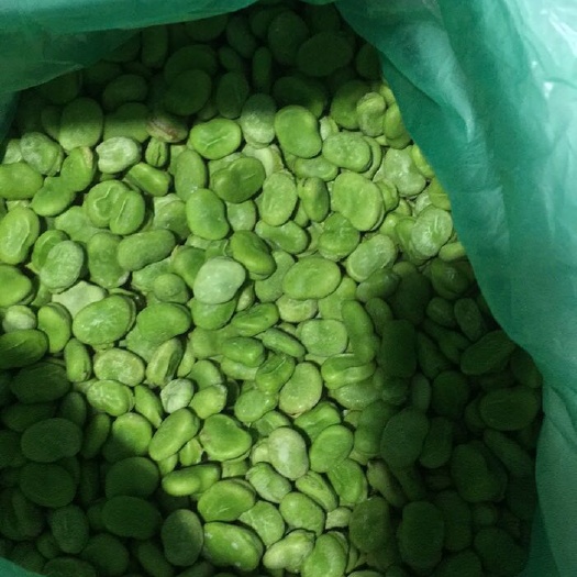 启东市速冻青皮蚕豆
