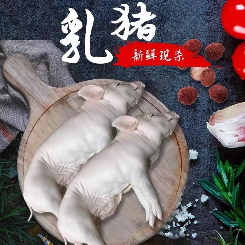 小耳朵乳猪整只新鲜冷冻生鲜广式脆皮烤猪土猪农家小香猪肉酒店