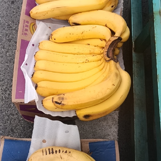 香蕉