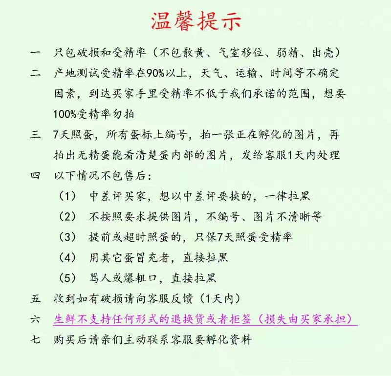 番鸭种蛋非洲雁种蛋红头鸭种蛋麻鸭种蛋大种麻鸭种蛋